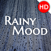  Rainy Mood   -  