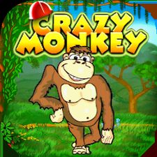 Crazy Monkey   -  