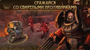  Warhammer 40,000: Space Wolf     -  
