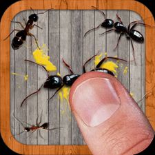  Ant Smasher by Best Cool & Fun Games    -  