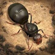  The Ants: Underground Kingdom   -  