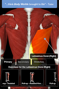  iMuscle 2   -  