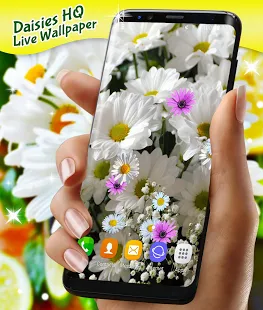 Программа Daisies HQ Live Wallpaper на Андроид - Новый APK