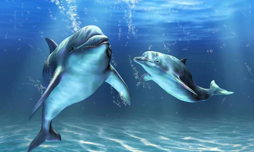 Программа Дельфины живые обои на Андроид - Новый APK