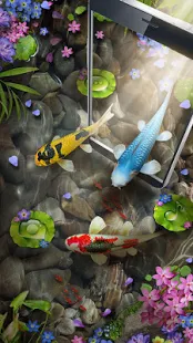 Программа 3D рыбки кои тема & Оживленный эффект 3D пульсации на Андроид - Открыто все