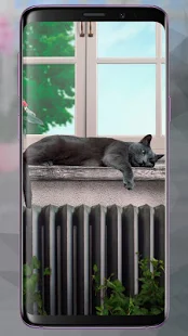 Программа Ленивый Серый Кот Живые Обои на Андроид - Обновленная версия