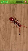  Ant Smasher by Best Cool & Fun Games     -  