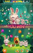  Bunny Pop     -  
