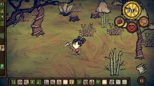  Don't Starve: Shipwrecked     -  