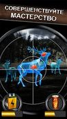  Wild Hunt:Sport Hunting Games.   3D     -  