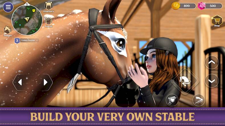  Star Equestrian - Horse Ranch   -  