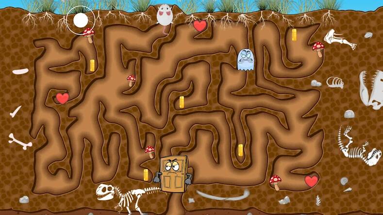  Mouse Maze   -  