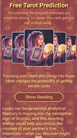  tarot   -  