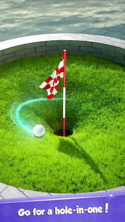  Golf Rival   -  