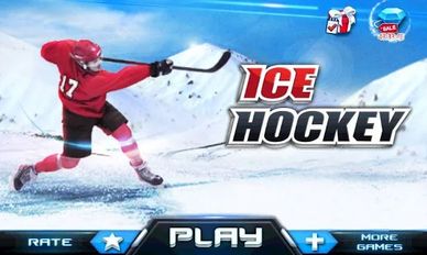      3D - IceHockey   -  