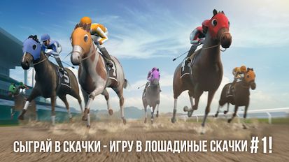   Photo Finish Horse Racing   -  