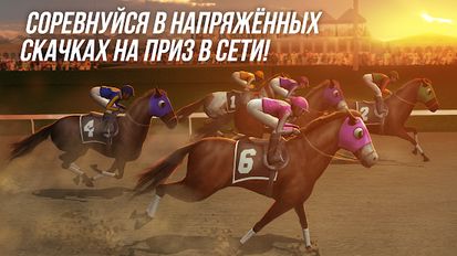   Photo Finish Horse Racing   -  